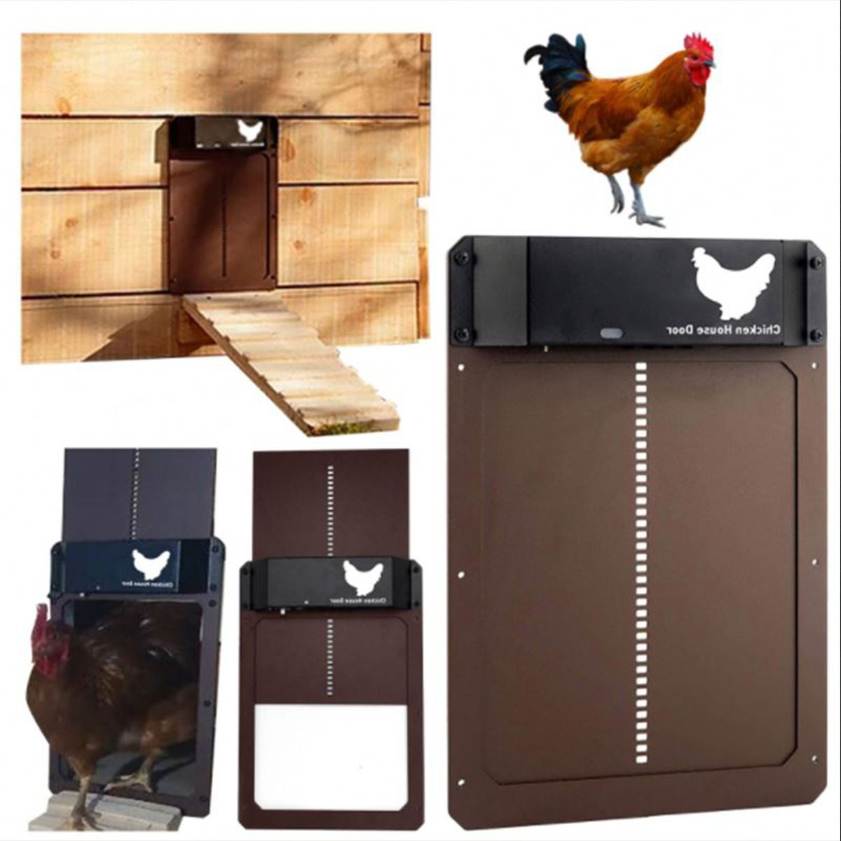 WhatsApp Image 2022-04-30 at 7